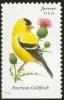 Colnect-2170-430-American-Goldfinch-Carduelis-tristis.jpg