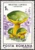 Colnect-744-563-Lurid-bolete-Boletus-luridus.jpg