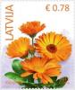 Colnect-2655-216-Pot-marigold-Calendula-officinalis.jpg