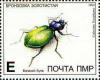 Colnect-2034-598-European-Calosoma-Beetle-Calosoma-sycophanta.jpg