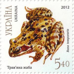 Colnect-2853-535-European-Common-Frog-Rana-temporaria.jpg