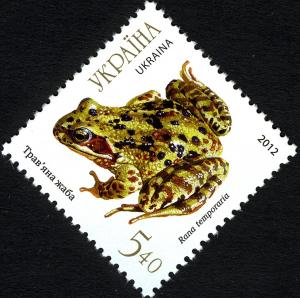 Colnect-5488-146-European-Common-Frog-Rana-temporaria.jpg