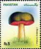 Colnect-598-640-Mushrooms---Boletus-luridus.jpg