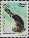 Colnect-1295-350-Mediteranean-Monk-Seal-Monachus-albiventris.jpg