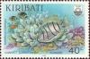 Colnect-1752-140-Convict-Surgeonfish-Acanthurus-triostegus.jpg
