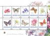 Colnect-3033-177-Four-seasons-flowers-and-butterfly.jpg