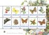 Colnect-3033-199-Four-seasons-flowers-and-butterfly.jpg