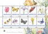 Colnect-3033-210-Four-seasons-flowers-and-butterfly.jpg