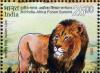 Colnect-3116-978-Indian-Lion-Panthera-leo-persica-.jpg