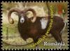 Colnect-5518-715-Mouflon-Ovis-ammon-musimon.jpg