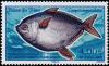 Colnect-888-800-Southern-Moonfish-Lampris-immaculatus.jpg