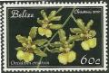 Colnect-1949-899-Oncidium-ensatum.jpg