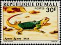 Colnect-2078-109-Common-Agama-Agama-agama.jpg