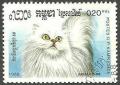 Colnect-832-088-White-British-Longhair-Felis-silvestris-catus.jpg