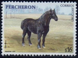 Colnect-1295-416-Percheron-Equus-ferus-caballus.jpg