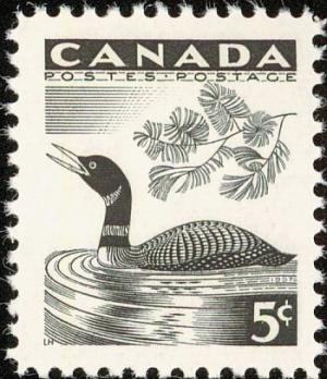 Colnect-1546-244-Common-Loon-Gavia-immer.jpg