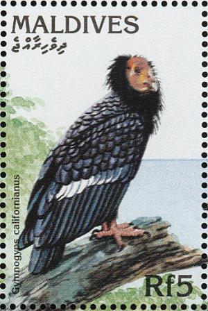 Colnect-1631-947-Californian-Condor-Gymnogyps-californianus.jpg