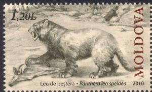 Colnect-2617-903-Cave-Lion-Panthera-leo-spelaea.jpg
