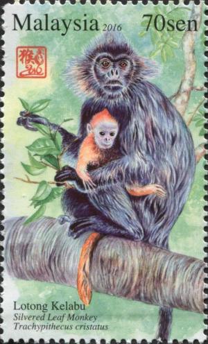 Colnect-3241-384-Silvered-Leaf-Monkey-Trachypithecus-cristatus.jpg