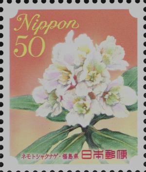 Colnect-4031-917-Rhododendron---Fukushima-Prefecture.jpg