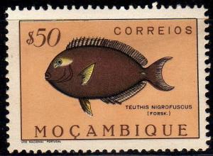 Colnect-594-962-Dusky-Surgeonfish-Teuthis-nigrofuscus.jpg