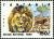 Colnect-5544-395-Selous-National-Park-Lion-Panthera-leo.jpg