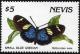 Colnect-2159-933-Sara-Longwig-Heliconius-sara.jpg