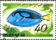 Colnect-723-840-Palette-Surgeonfish-Paracanthurus-hepatus.jpg