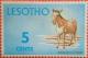 Colnect-745-198-Basotho-Pony-Equus-ferus-caballus.jpg