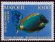 Colnect-850-933-Powderblue-Surgeonfish-Acanthurus-leucosternon.jpg