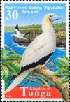 Colnect-2537-700-Red-footed-Booby-Sula-sula.jpg