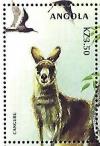 Colnect-5194-108-Kangaroo-Macropus-giganteus.jpg