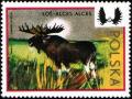 Colnect-1980-830-Moose-Alces-alces.jpg