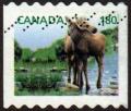 Colnect-3129-954-Moose-Alces-alces.jpg