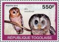 Colnect-6537-745-African-Wood-Owl-Strix-woodfordii.jpg