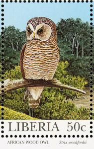 Colnect-1641-808-African-Wood-Owl-Strix-woodfordii-.jpg