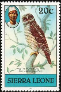 Colnect-2911-058-African-Wood-Owl-Strix-woodfordii.jpg