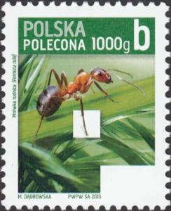 Colnect-4808-115-Red-Wood-Ant-Formica-rufa.jpg