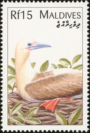 Colnect-1631-935-Red-footed-Booby-Sula-sula.jpg