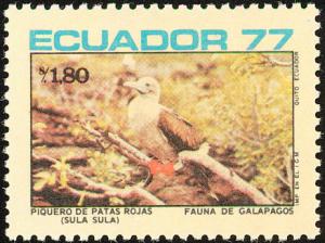 Colnect-1724-463-Red-footed-Booby-Sula-sula.jpg