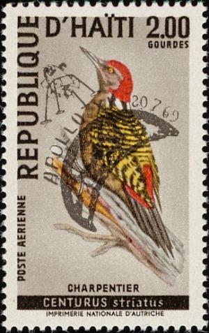 Colnect-3188-481-Hispaniolan-Woodpecker-Melanerpes-striatus.jpg
