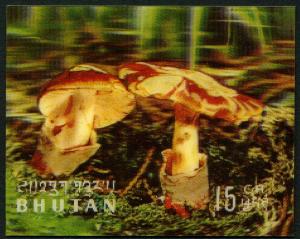 Colnect-4466-691-Mushrooms-Amanita-caesarea.jpg