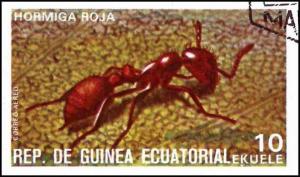 Colnect-4976-929-Red-Wood-Ant-Formica-rufa.jpg