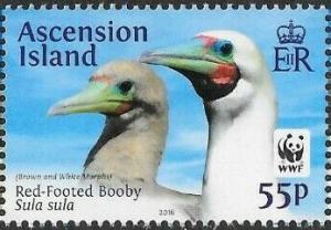 Colnect-6467-733-Red-footed-Booby-Sula-sula.jpg