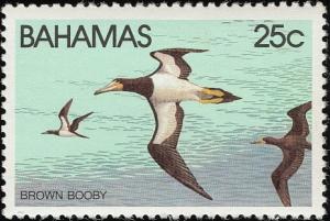 Colnect-862-659-Brown-Booby-Sula-leucogaster.jpg
