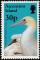 Colnect-4414-473-Red-footed-Booby-Sula-sula.jpg