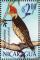 Colnect-4566-588-Helmeted-Woodpecker-Celeus-galeatus.jpg