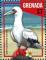 Colnect-3676-996-Red-footed-Booby-Sula-sula.jpg