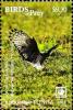 Colnect-6252-079-African-Cuckoo-Hawk---Aviceda-cuculoides.jpg