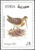 Colnect-1428-697-Eurasian-Woodcock-Scolopax-rusticola.jpg